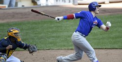 Former Cubs outfielder from title season added to Triple-A Iowa