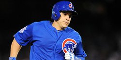 Former Cubs catcher designated for assignment