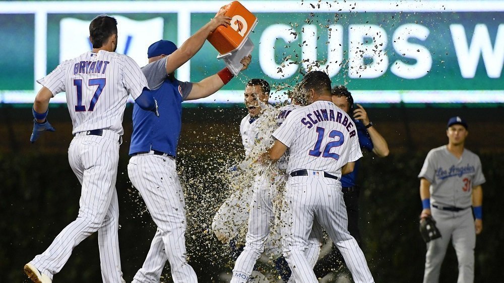 Commentary: Dear Baseball, I miss you already