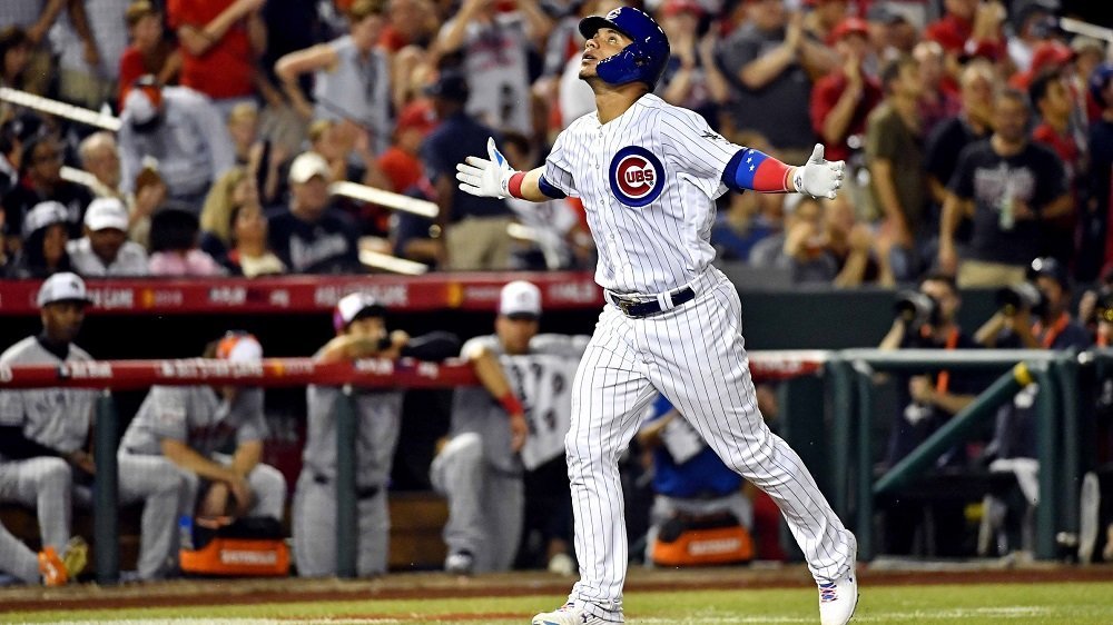 Contreras is a talented catcher for the Cubs (Brad Mills - USA Today Sports)