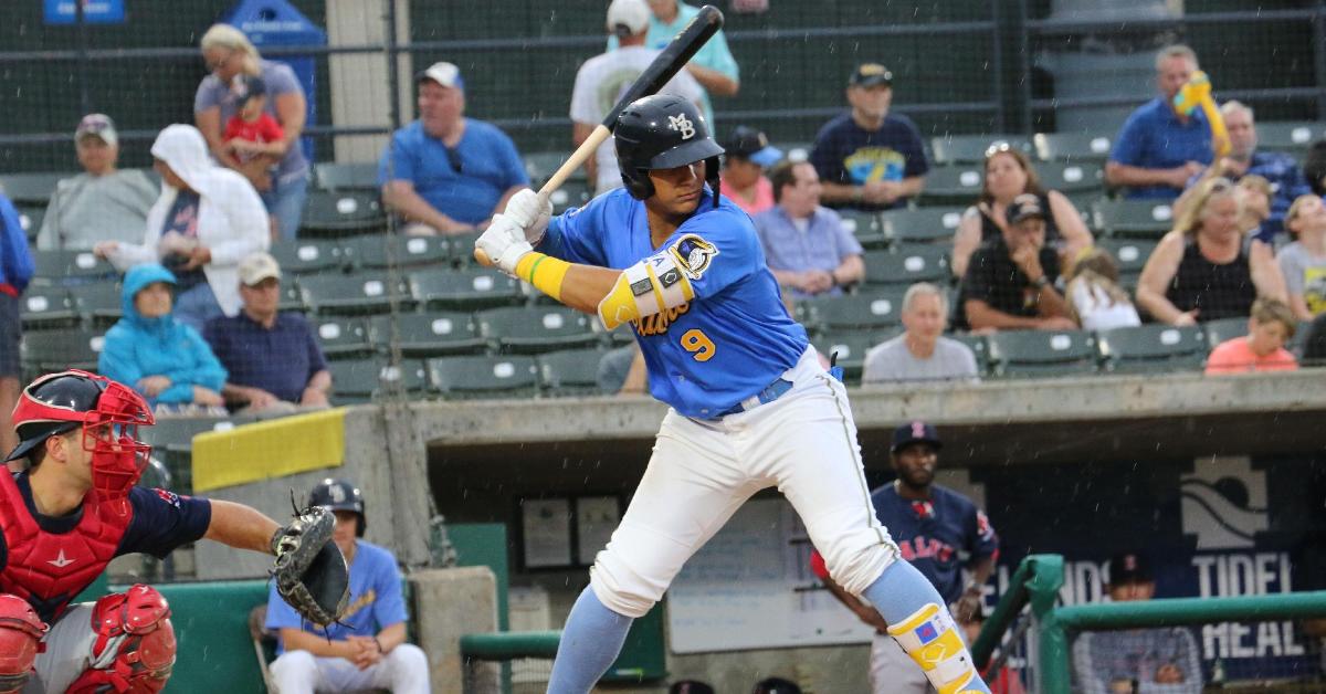 What to expect from Myrtle Beach Pelicans in 2020?