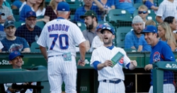 Chris Denorfia reportedly out as Cubs quality assurance coach