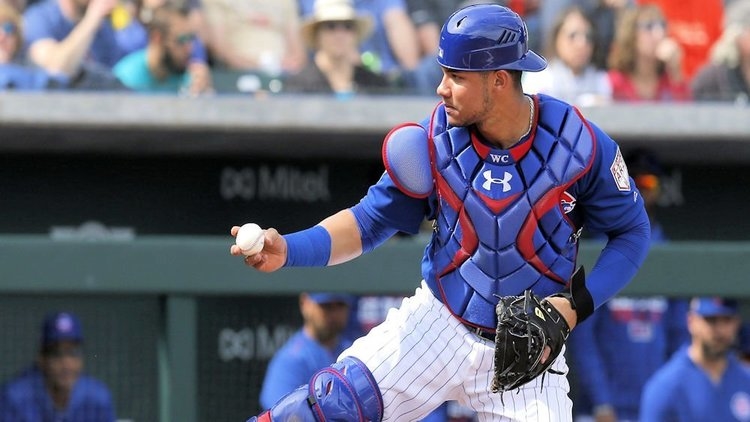 Contreras has an elite arm to throw out runners (Rick Scuteri - USA Today Sports)