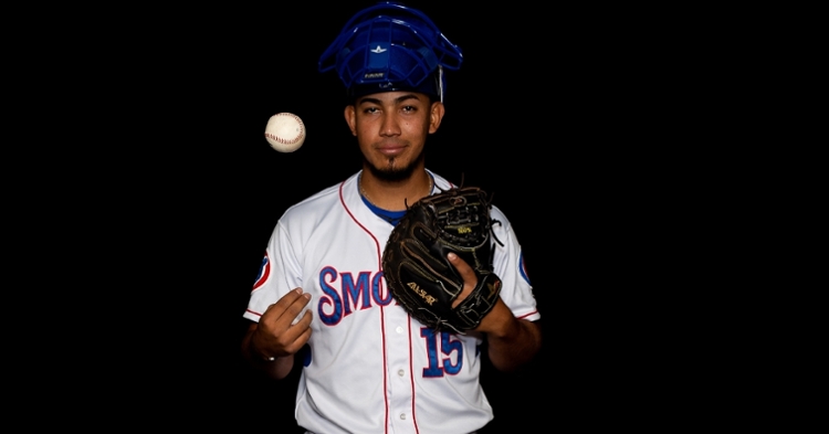 Pereda was sent to the Red Sox to finalize a recent trade (Photo credit: Smokies)