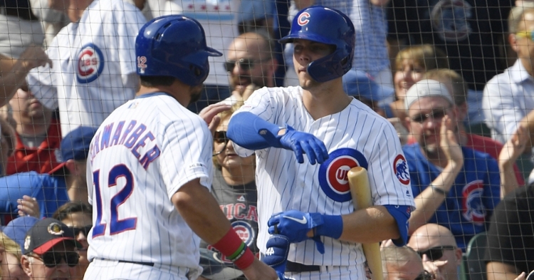 Schwarber and Hoerner a big part of the Cubs future (Quinn Harris - USA Today Sports)