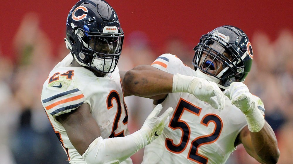 The Bears have donated nearly two million for COVID-19 relief (Joe Camporeale - USA Today Sports)