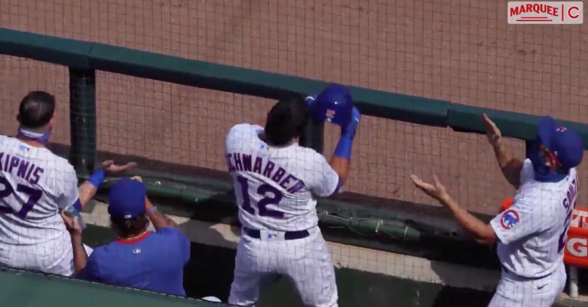Members of the Cubs' dugout love to dance along to Anthony Rizzo's catchy walkup songs.