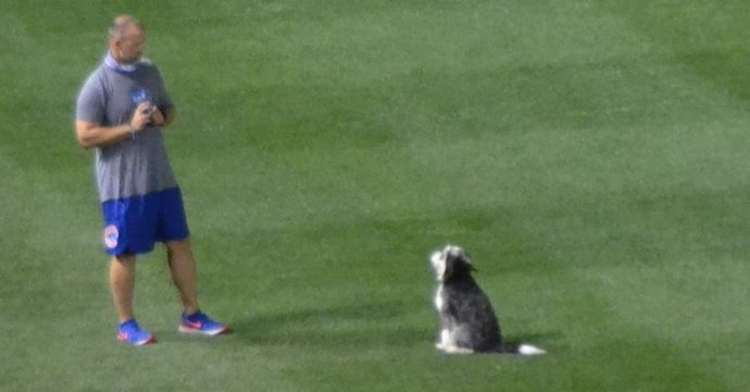 Rossy's dog appears to be a good boy (Photo credit: Jordan Bastian)