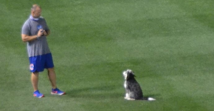 David Ross and Maya spending some quality time together