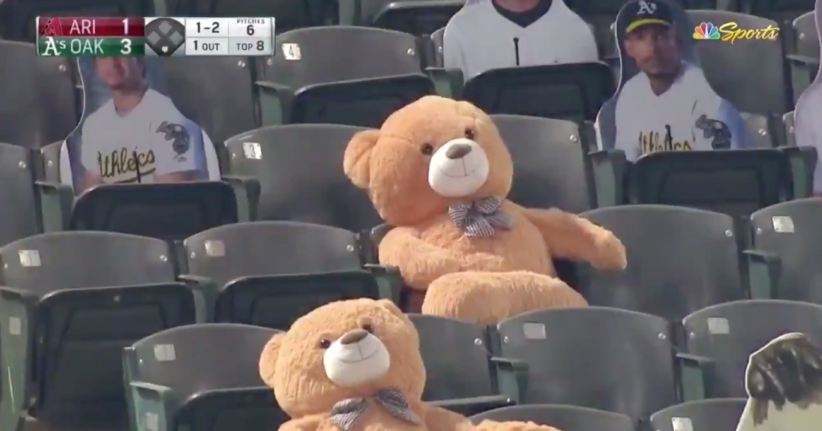 A giant, bowtie-wearing teddy bear could only helplessly watch as a foul ball plummeted toward its noggin.