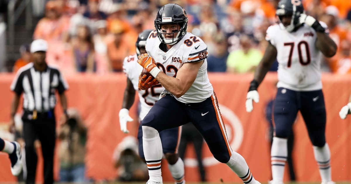 Chicago Bears release tight end