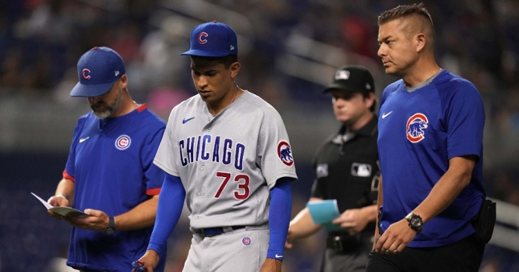 Adbert Alzolay was put on the shelf after straining his left hamstring while on the mound. (Credit: Jasen Vinlove-USA TODAY Sports)