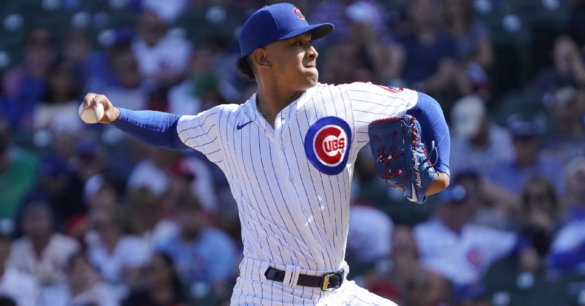 Alzolay is a big piece of the Cubs future (David Banks - USA Today Sports)