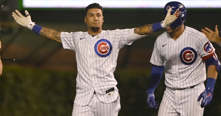 Baez was thrilled after the one-pitch walk-off single (Matt Marton - USA Today Sports)