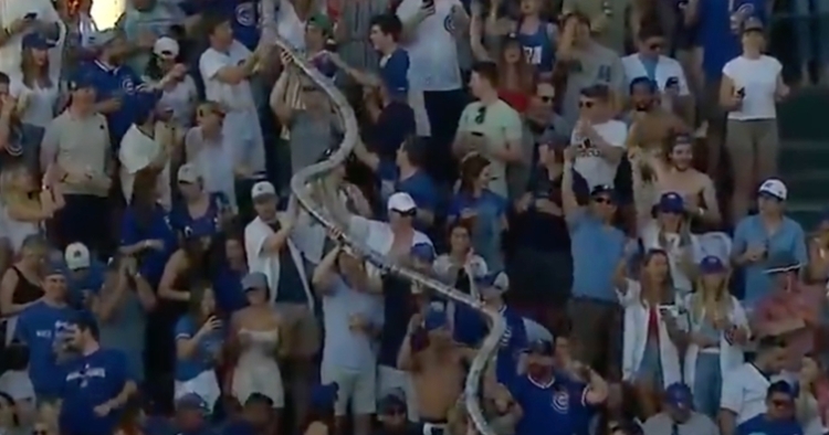 Cubs fans came together in hoisting an oversized stack of plastic beer cups above their heads.