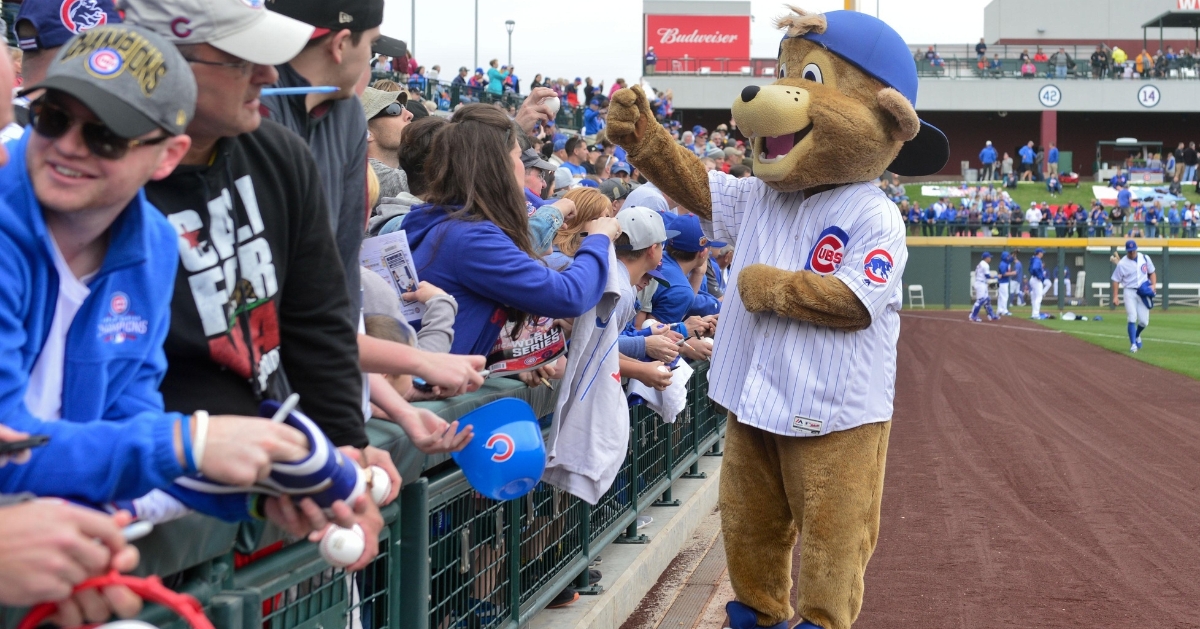 Clark the Cub was ranked the top mascot in MLB (USA Today Sports)