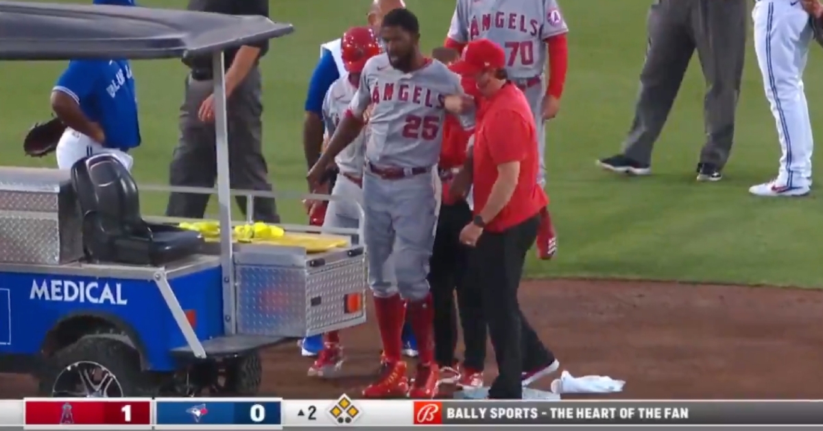 Former Cubs outfielder Dexter Fowler, who currently plays for the Angels, was carted off the field after suffering a knee injury.