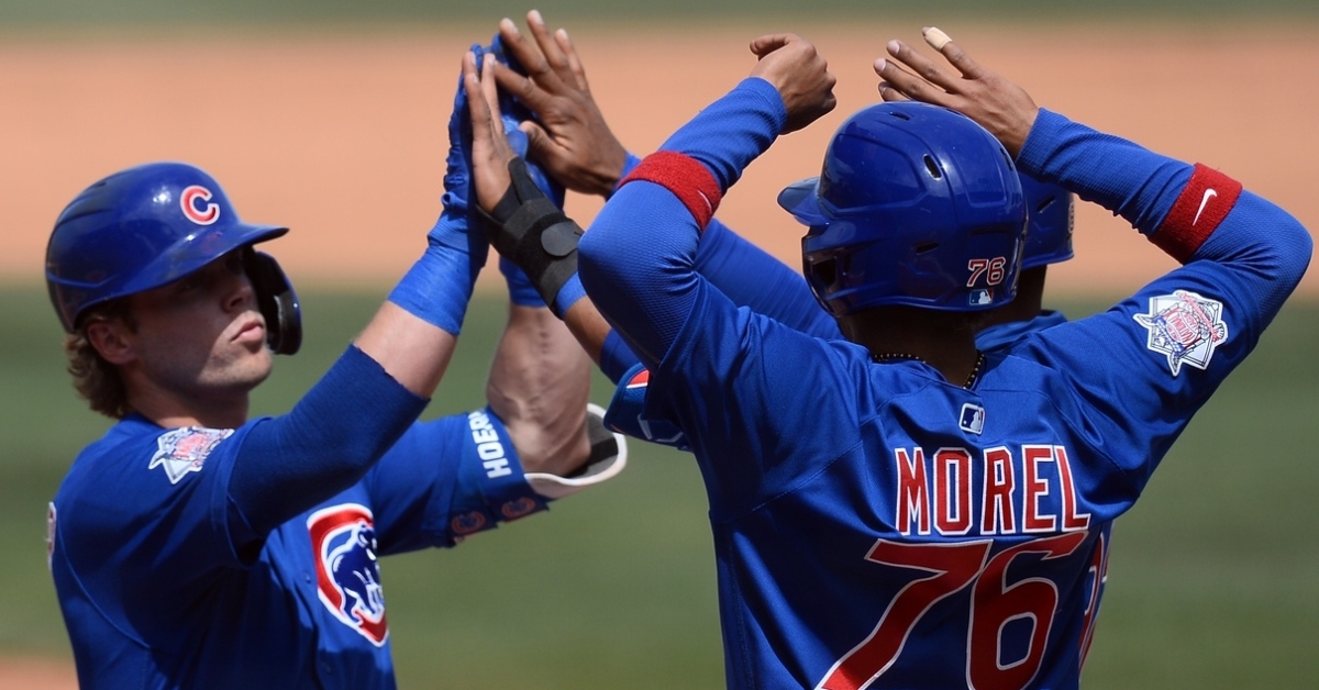 Hoerner and Morel are two big pieces of the Cubs future (Joe Camporeale - USA Today Sports)