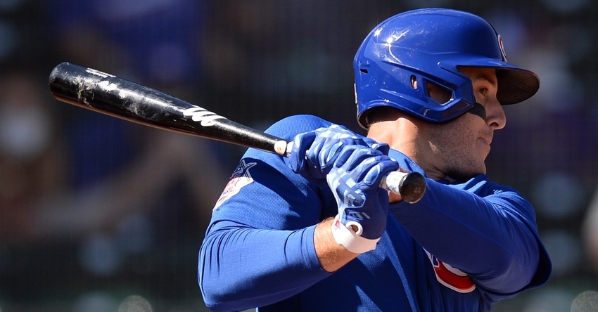 Rizzo is a beloved member of the Cubs (Joe Camporeale - USA Today Sports)