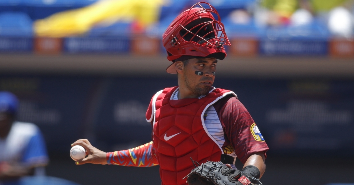 Chirinos is the new backup catcher for the Cubs (Sam Navarro - USA Today Sports)