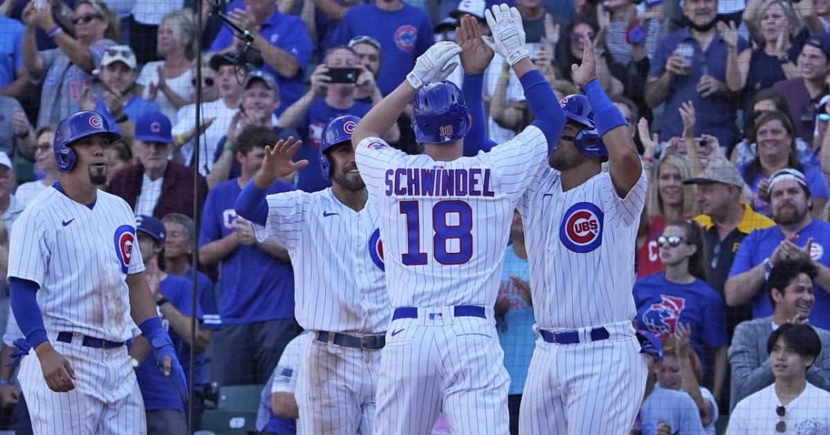 Schwindel has been incredible for the Cubs (David Banks - USA Today Sports)