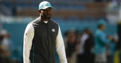 Bears Coaching Candidate: Brian Flores