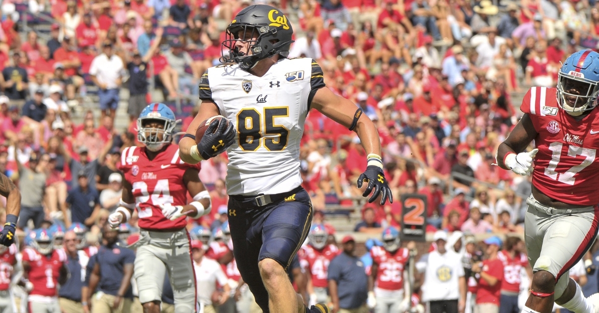 Getting to Know: Bears TE Jake Tonges