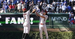 Cubs falls in extras against D-backs