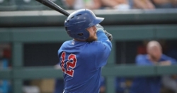 Cubs Minor League News: Higgins raking, Young with two homers, PCA smacks grand slam, more
