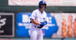 Cubs Minor League News: Young raking, Wicks impressive, Stevens homers again, more