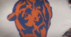 Chicago Bears considering a new stadium location away from Arlington Heights